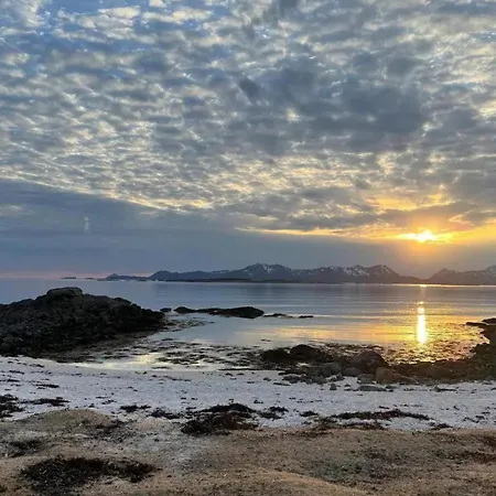 1 Bed Loft Sleeps 4 -hot Tub Sauna & Pets Ok *