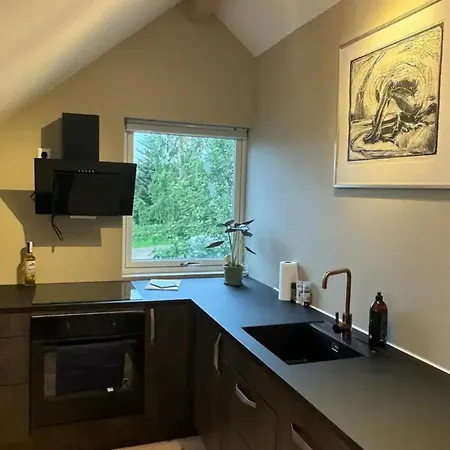 1 Bed Loft Sleeps 4 -hot Tub Sauna & Pets Ok Lejlighed *